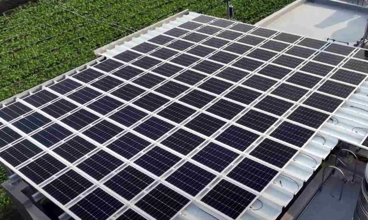 PA直营SunSteel光电浪板升级双玻结构，，，以提升机械负载强度及气候耐候度，，可广泛运用于多元场域